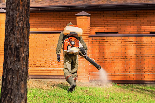 Trusted Fumigation Services service in Steamboat Springs, CO - Nex Pest Control